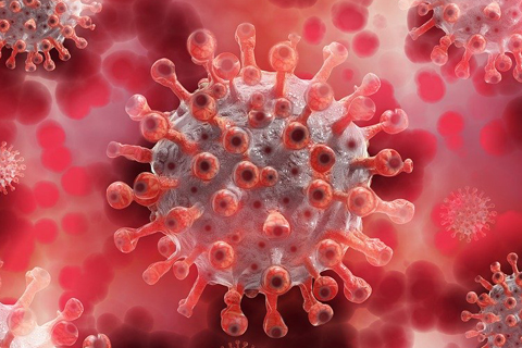 Coronavirus Disease 2019 (COVID-19) Testing